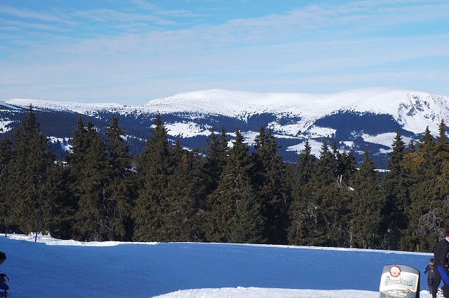img00035.jpg