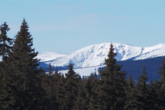 img00039.jpg