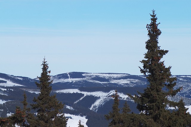 img00040.jpg