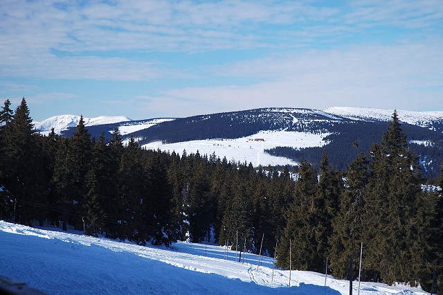 img00041.jpg