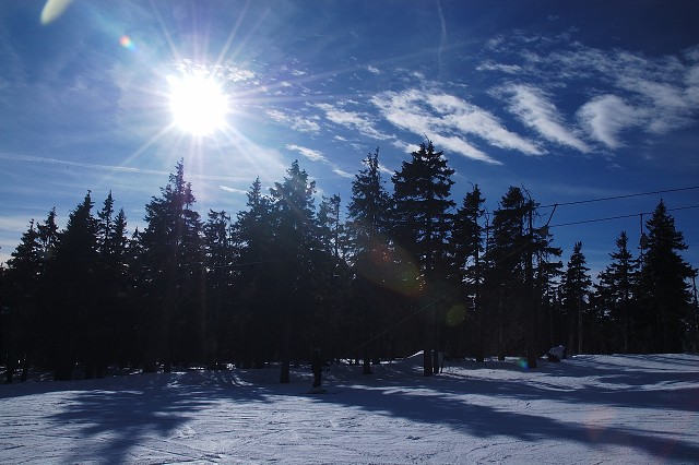 img00049.jpg