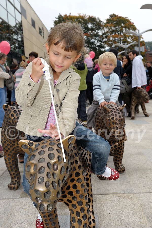 img00059.jpg