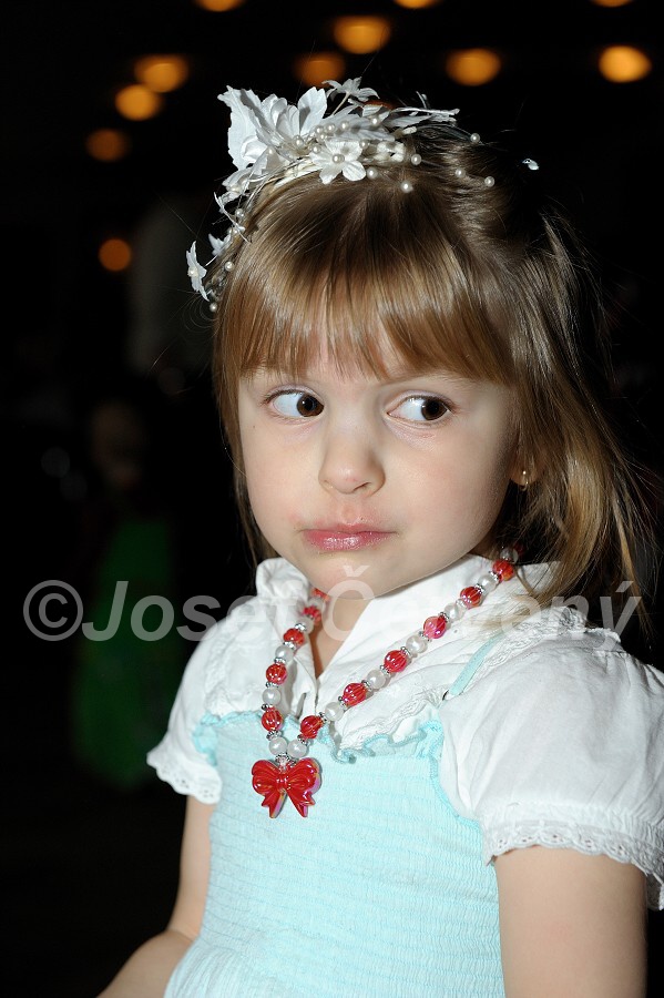 img00095.jpg