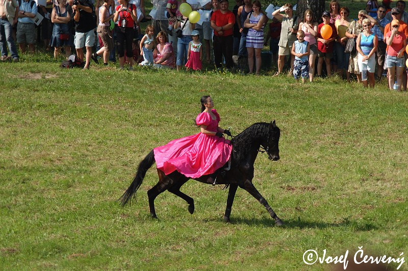 img00036.jpg