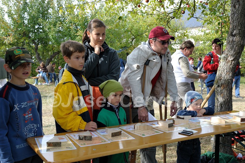 img00084.jpg