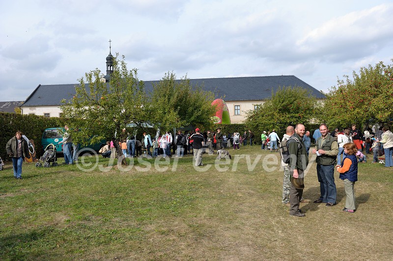 img00085.jpg