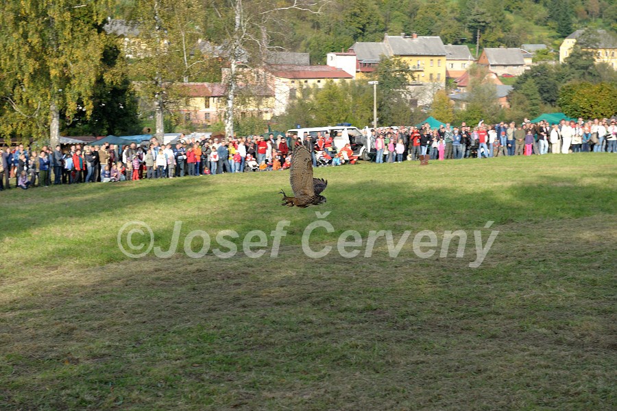img00097.jpg
