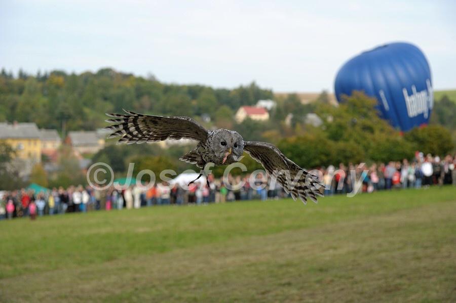 img00100.jpg