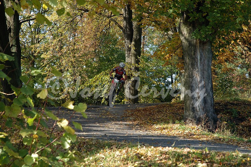 img00063.jpg