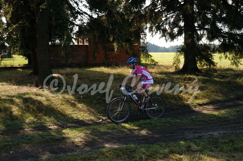 img00074.jpg