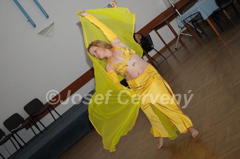 img00096.jpg